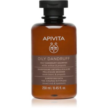 Apivita Dandruff Oily Dandruff Shampoo sampon anti-matreata pentru par gras - imagine 2